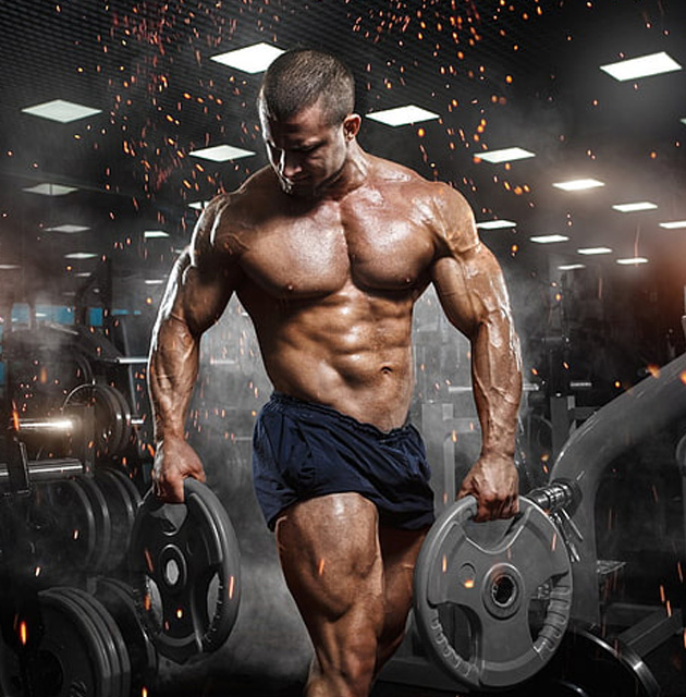 Fitness Gear